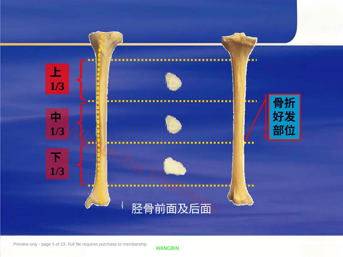 预览第 5 页
