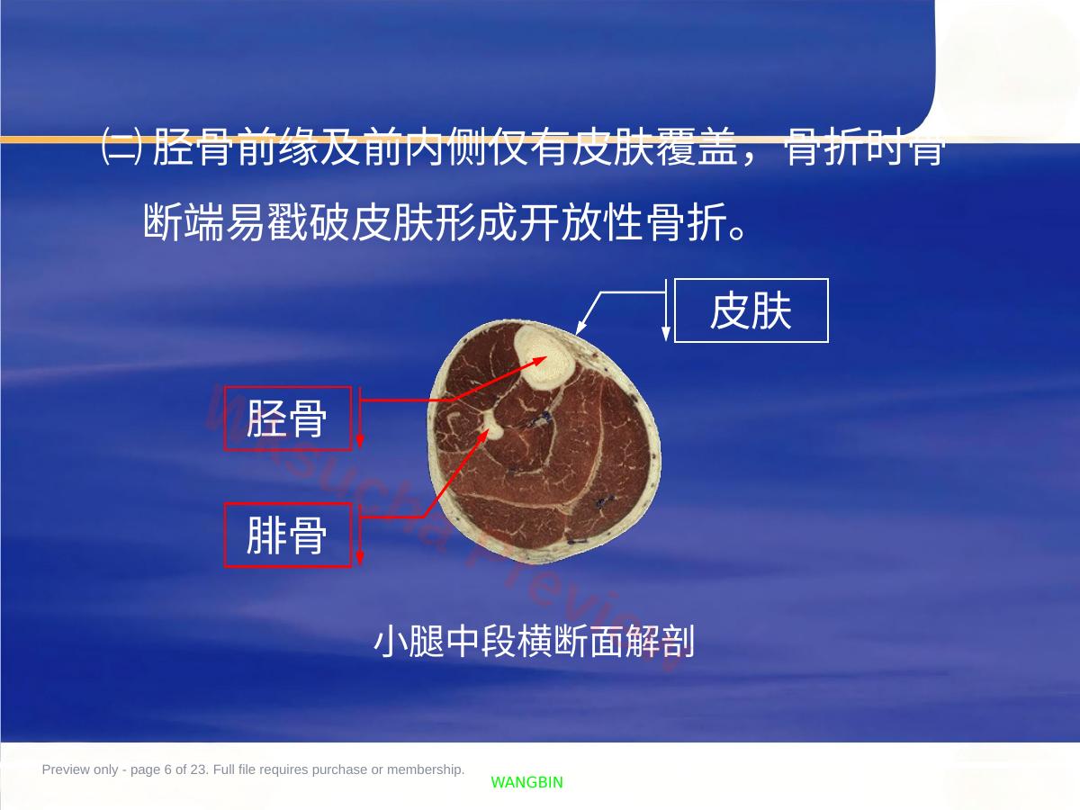 预览第 6 页