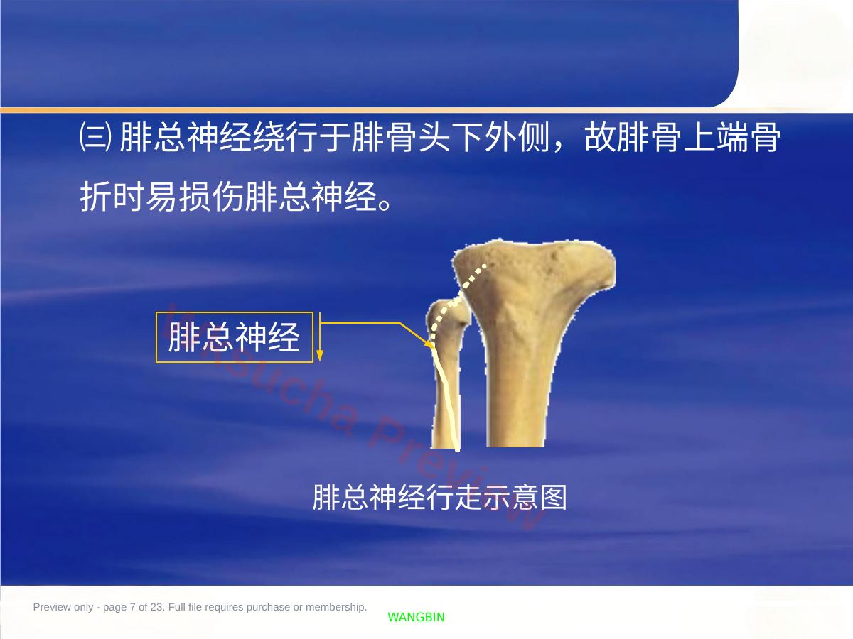 预览第 7 页