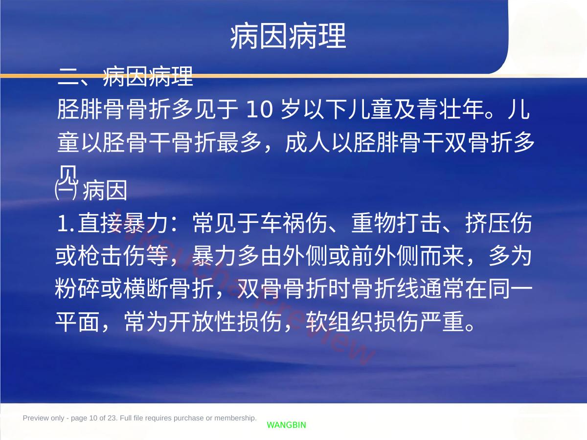 预览第 10 页