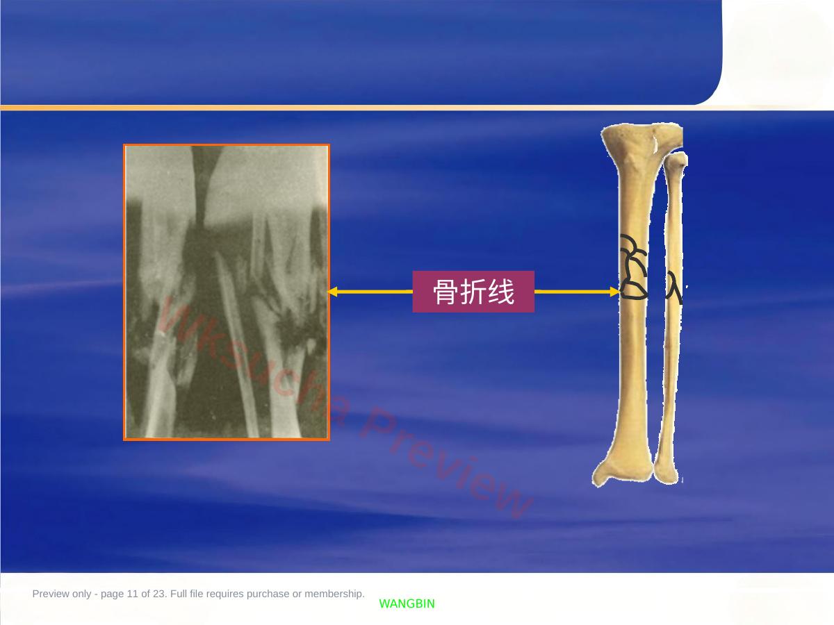 预览第 11 页