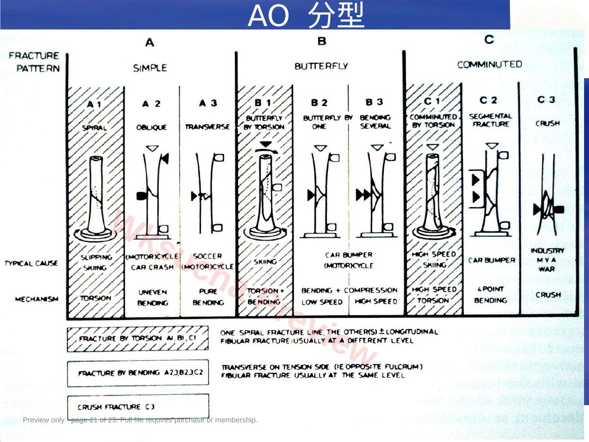 预览第 21 页