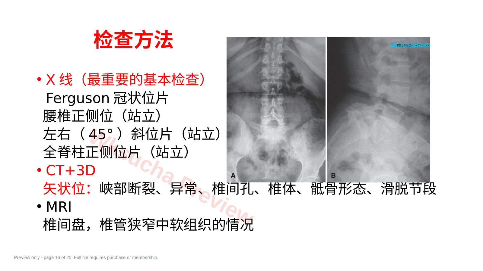 预览第 16 页