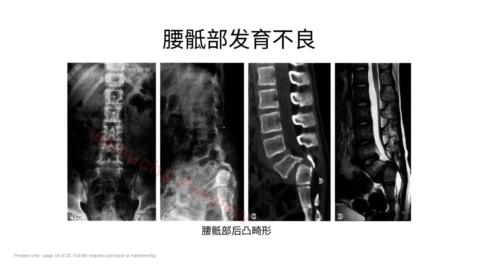 预览第 18 页