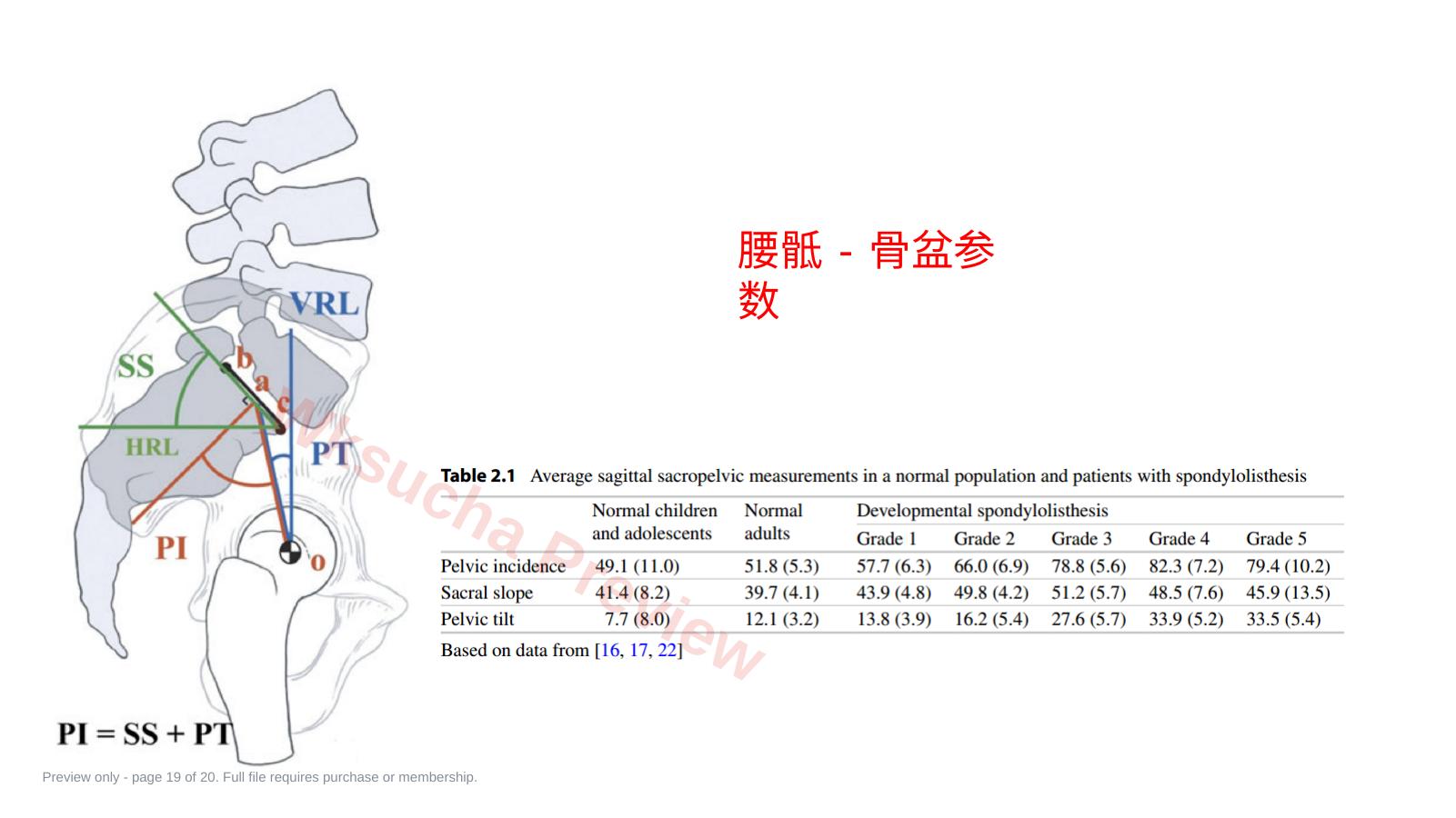 预览第 19 页