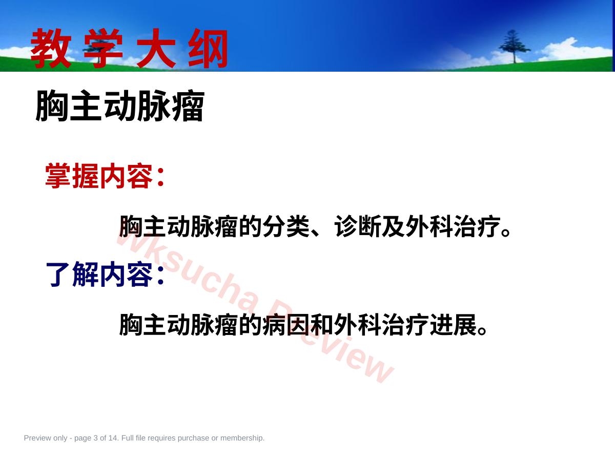 预览第 3 页