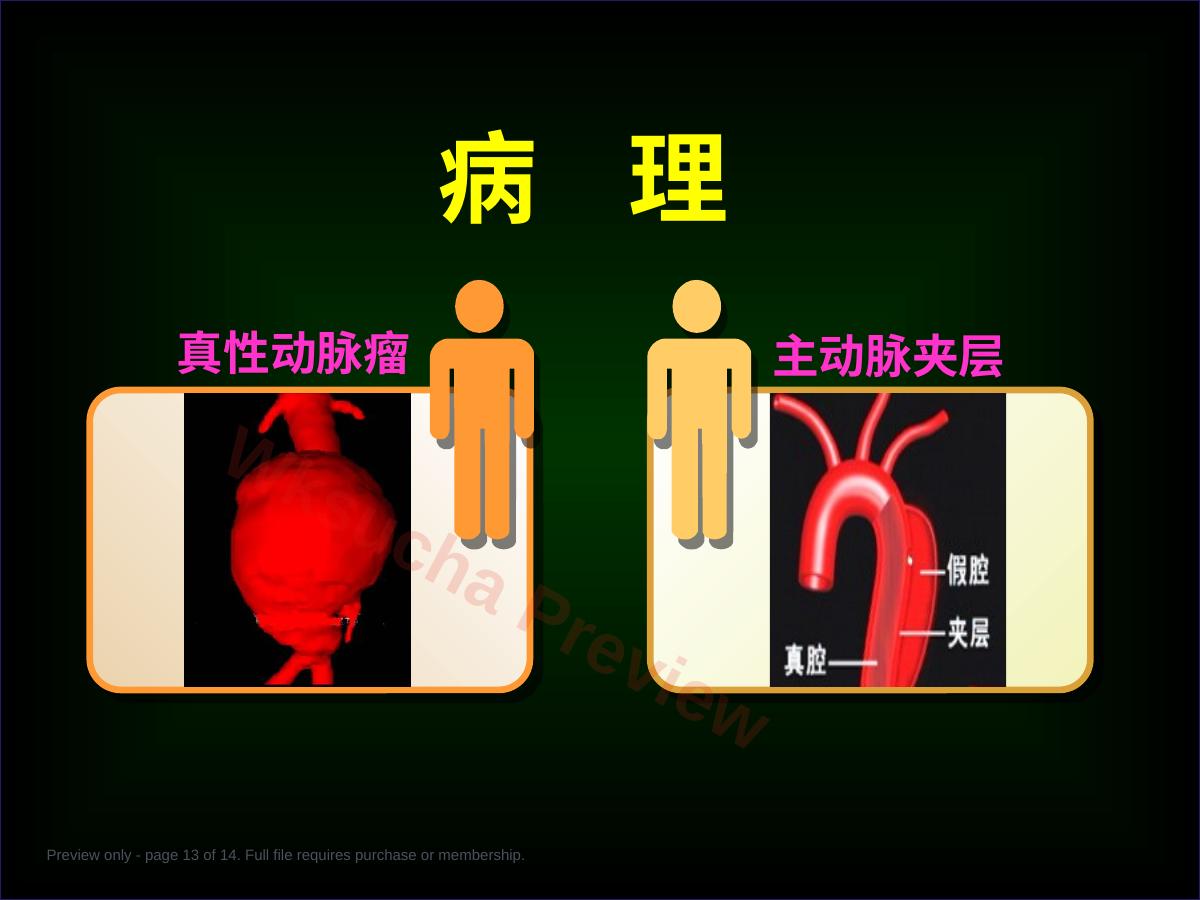 预览第 13 页