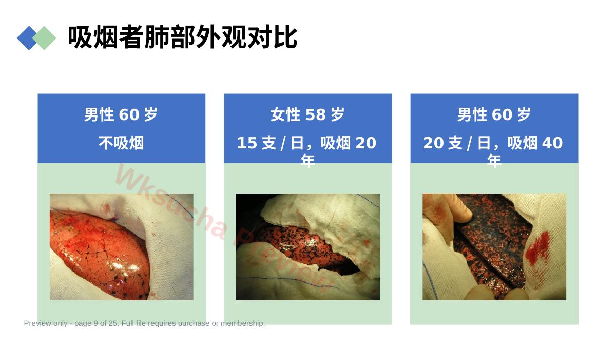 预览第 9 页