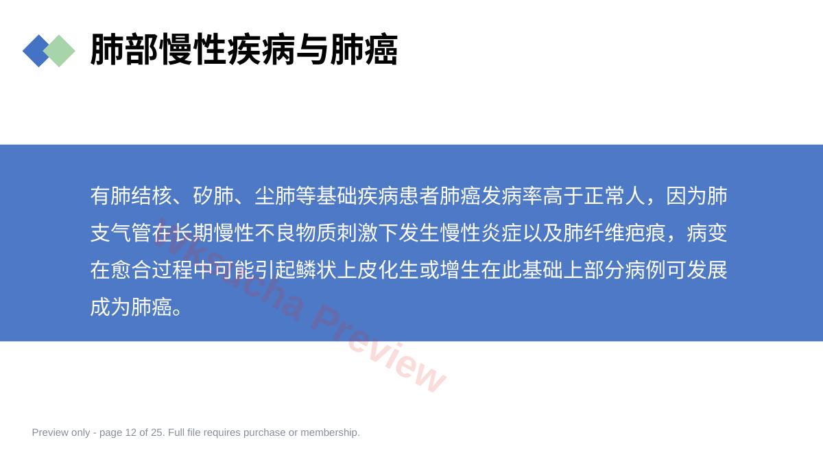 预览第 12 页