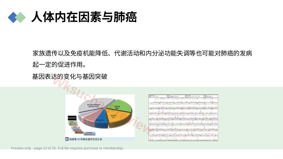 预览第 13 页