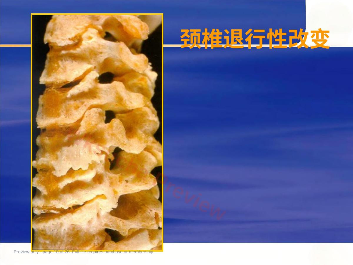 预览第 10 页