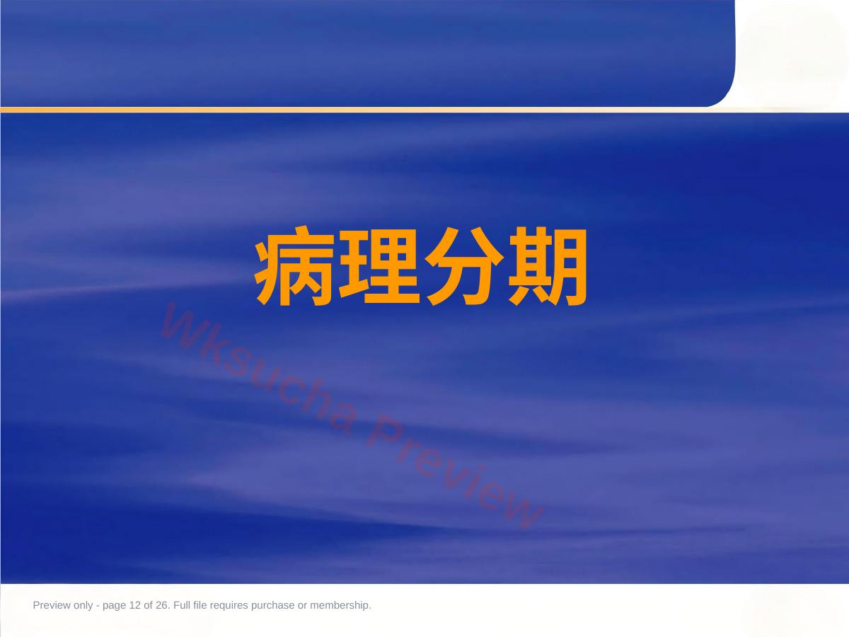 预览第 12 页