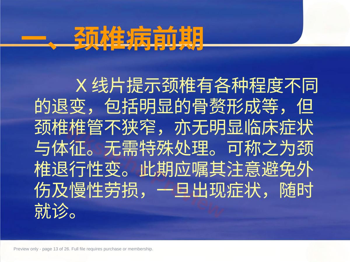 预览第 13 页