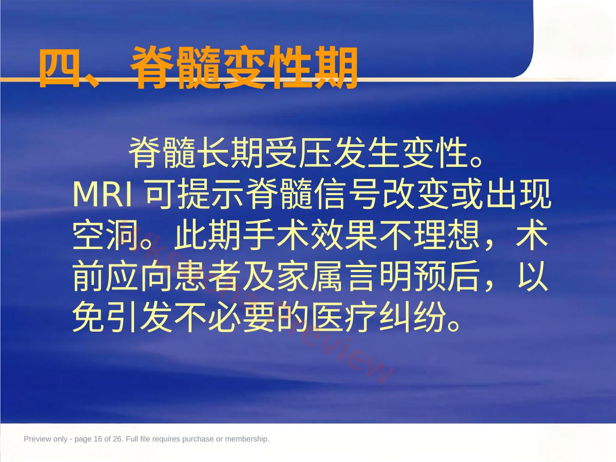 预览第 16 页
