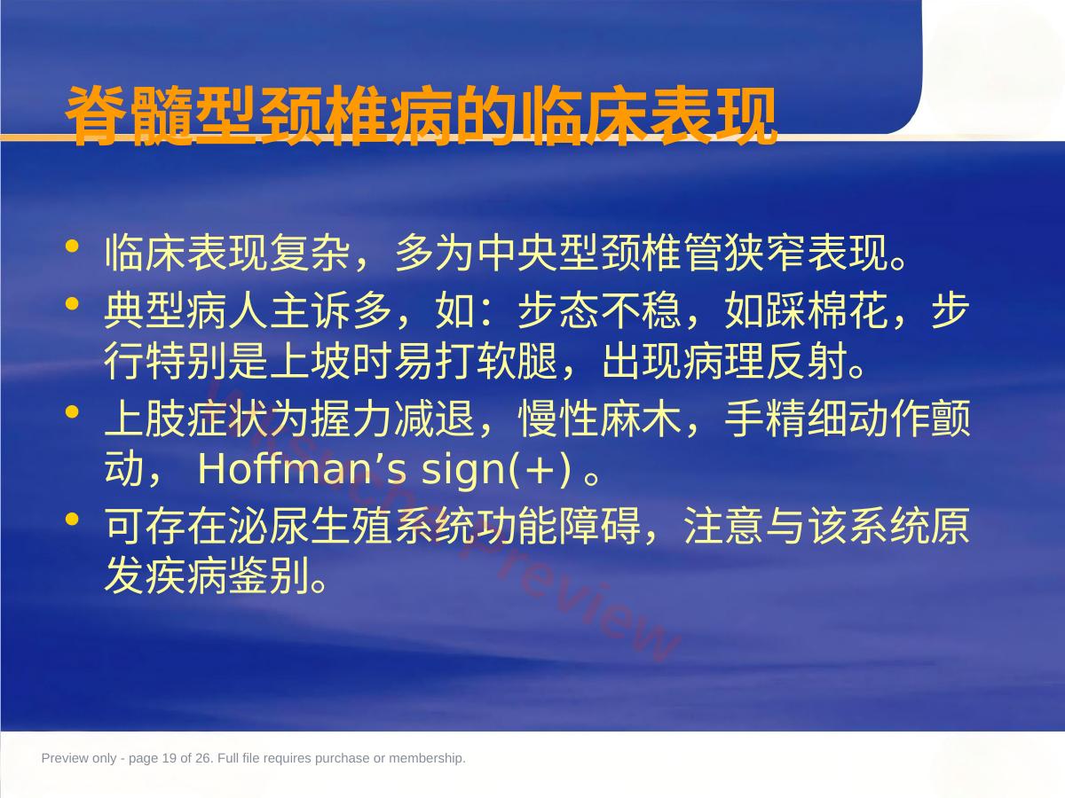 预览第 19 页