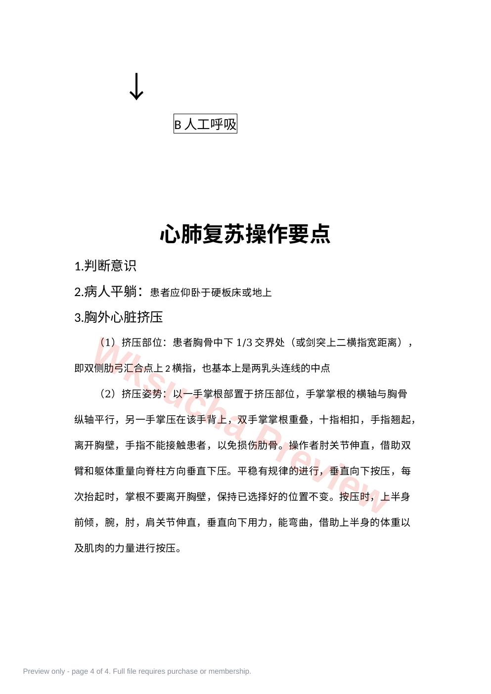 预览第 4 页