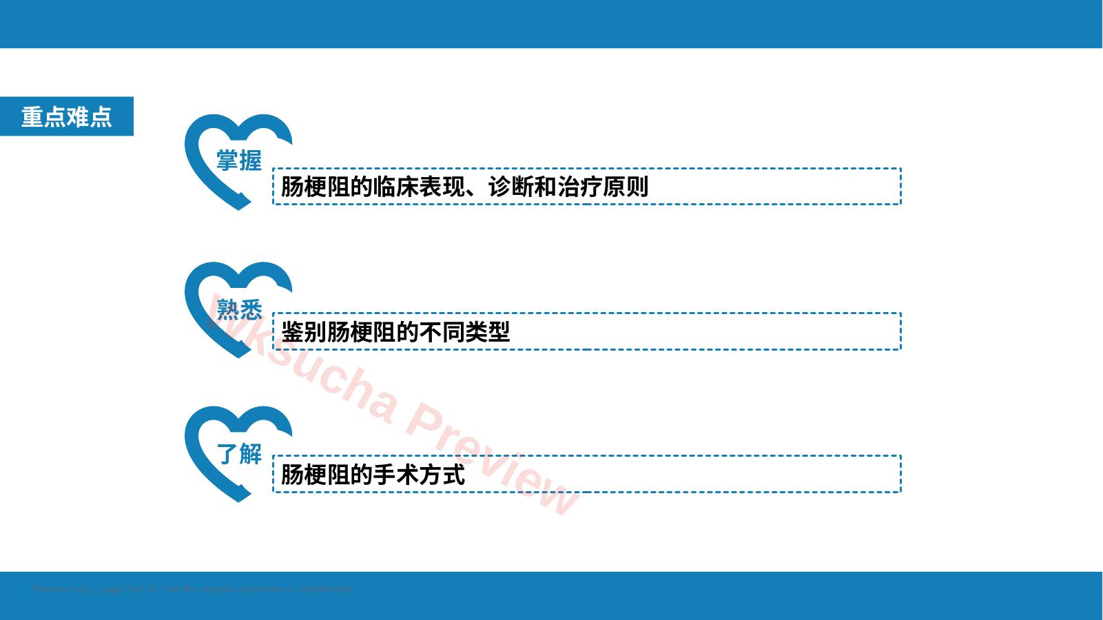 预览第 3 页
