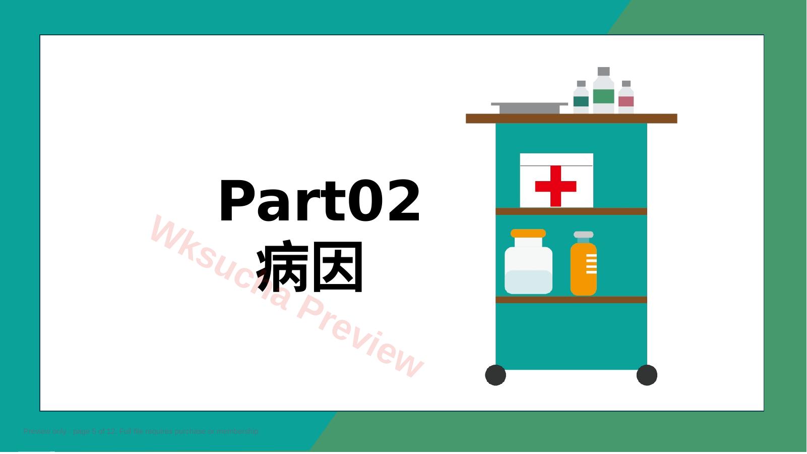 预览第 5 页