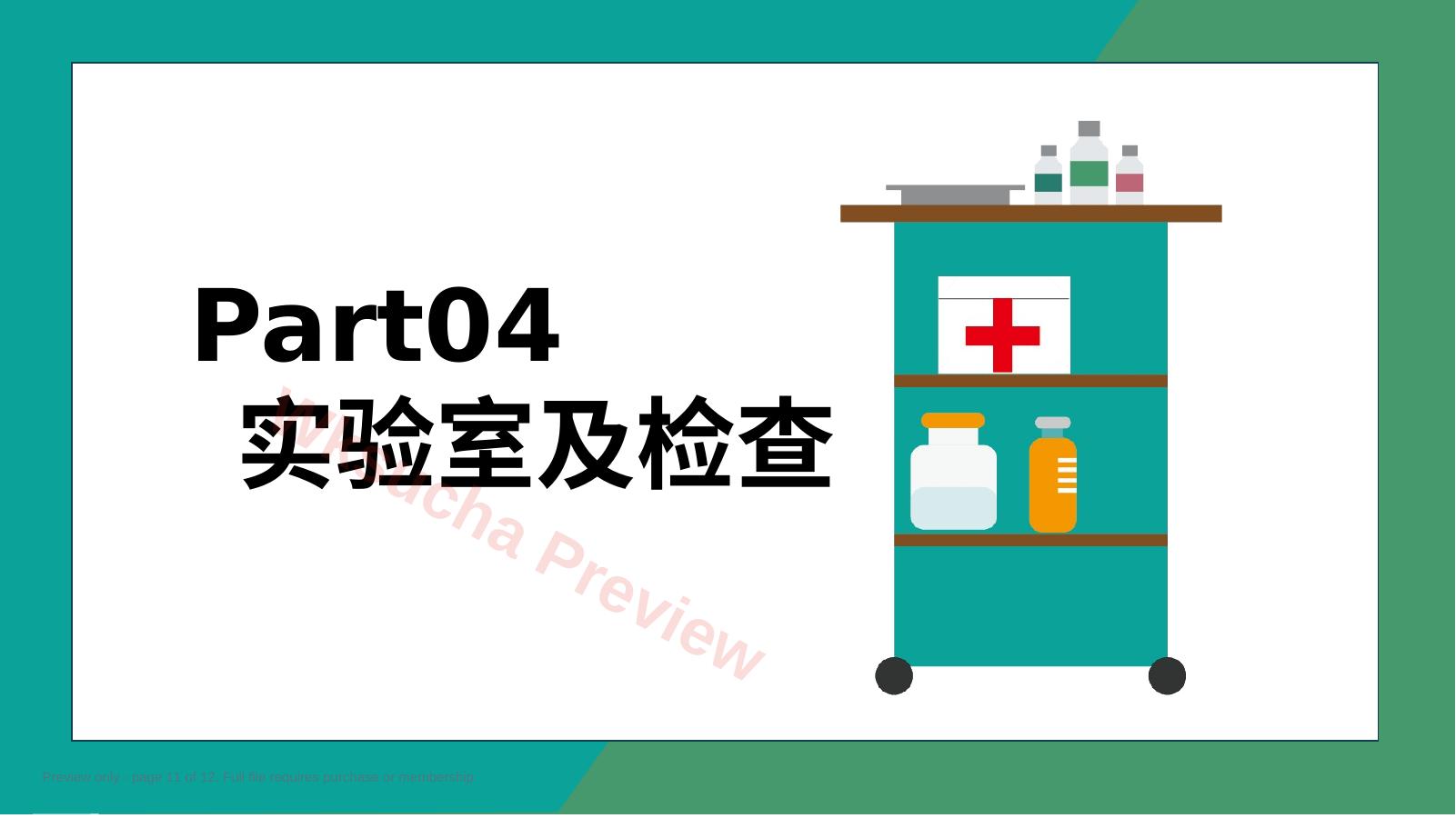 预览第 11 页