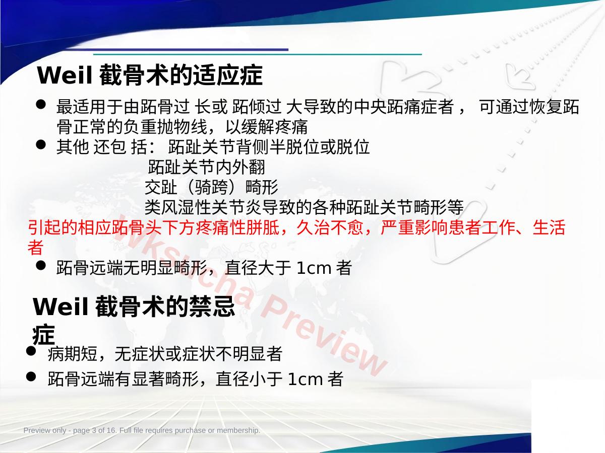 预览第 3 页