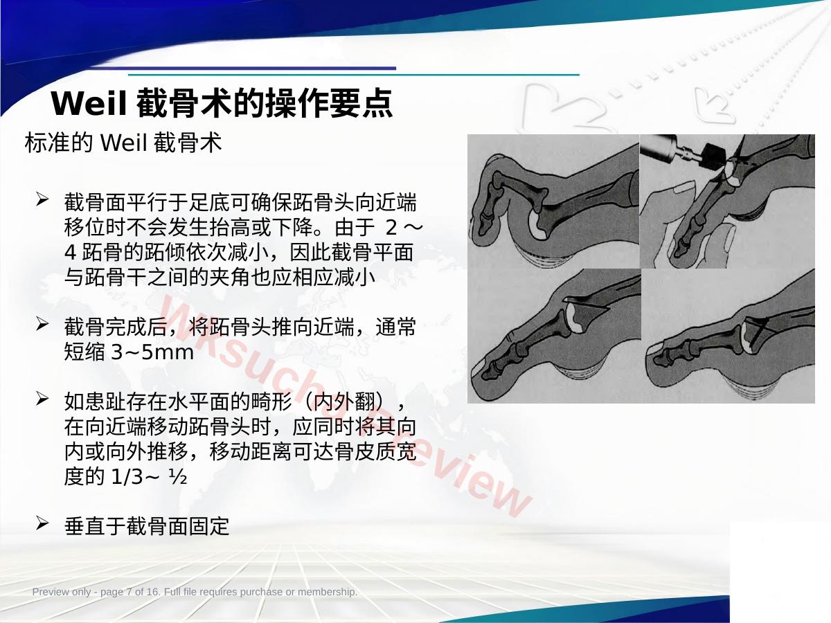 预览第 7 页