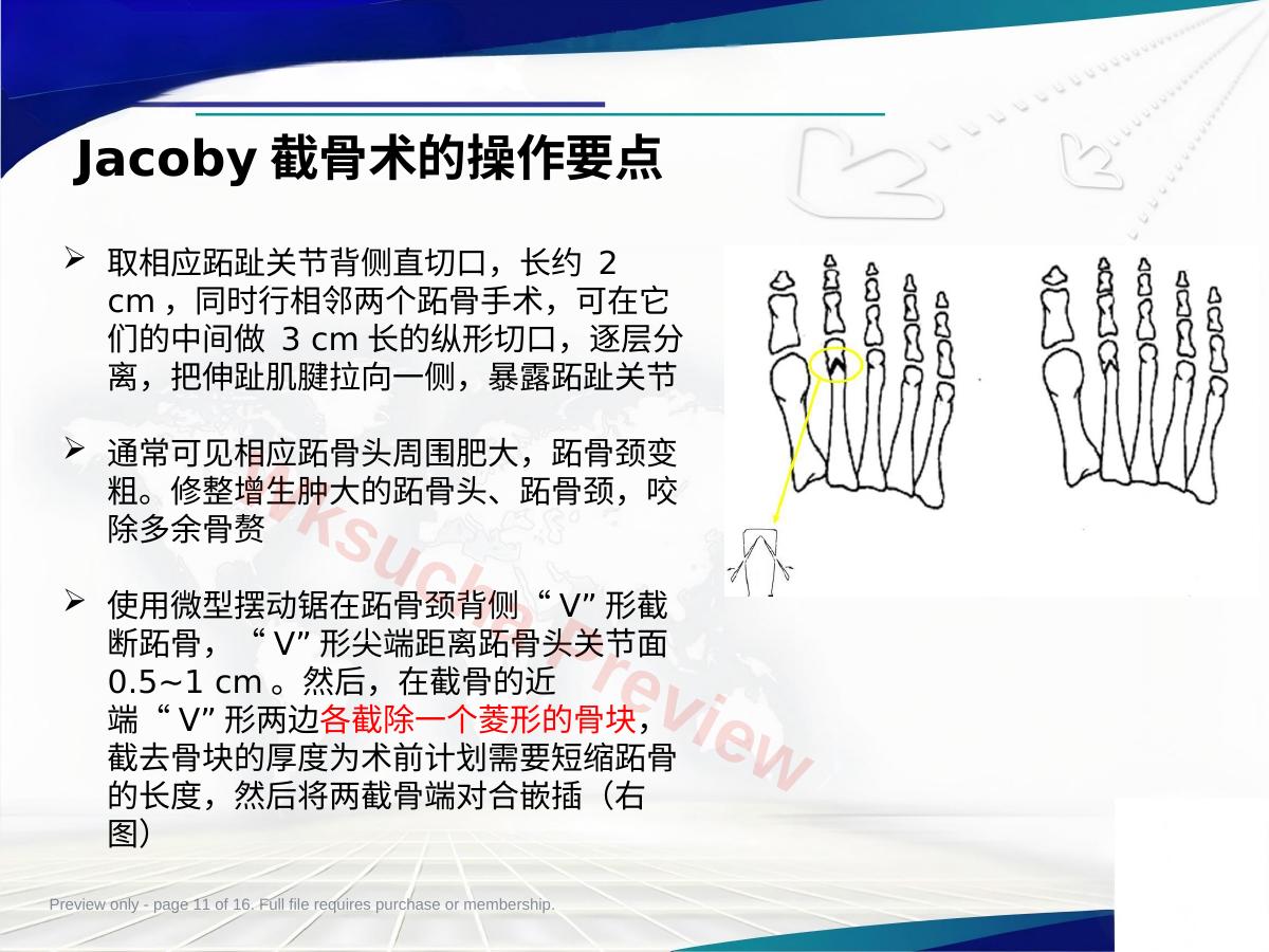 预览第 11 页