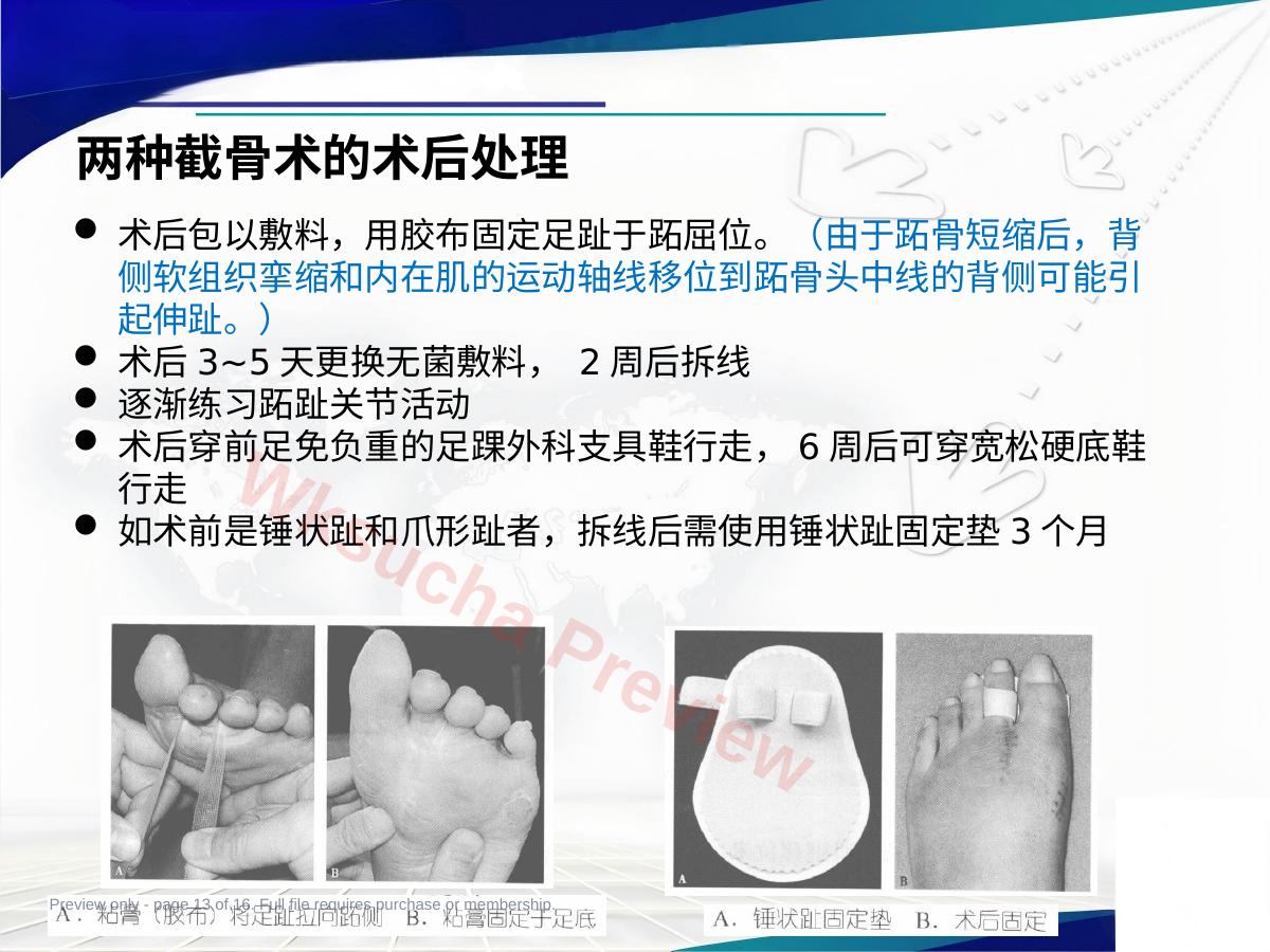 预览第 13 页