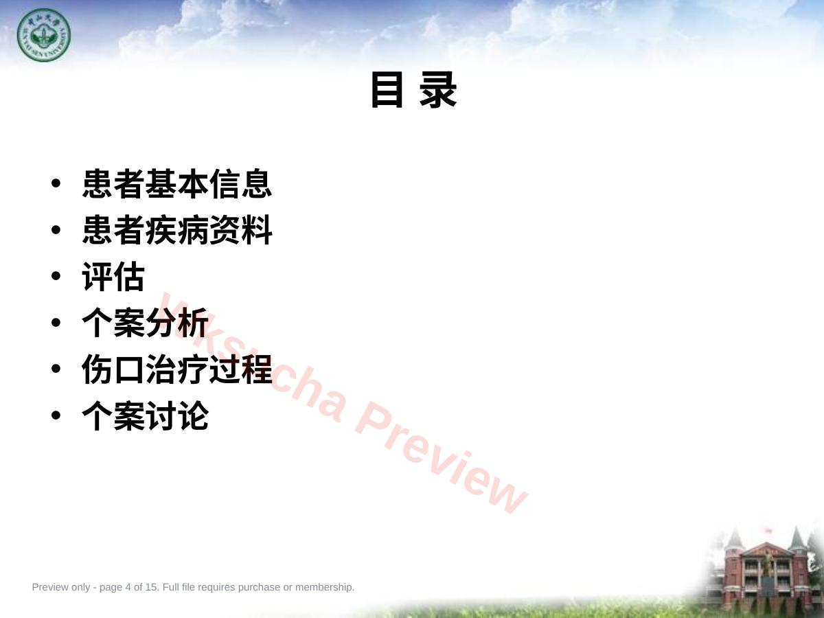预览第 4 页
