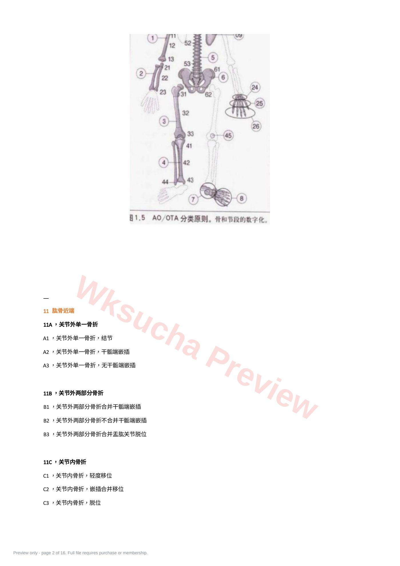 预览第 2 页