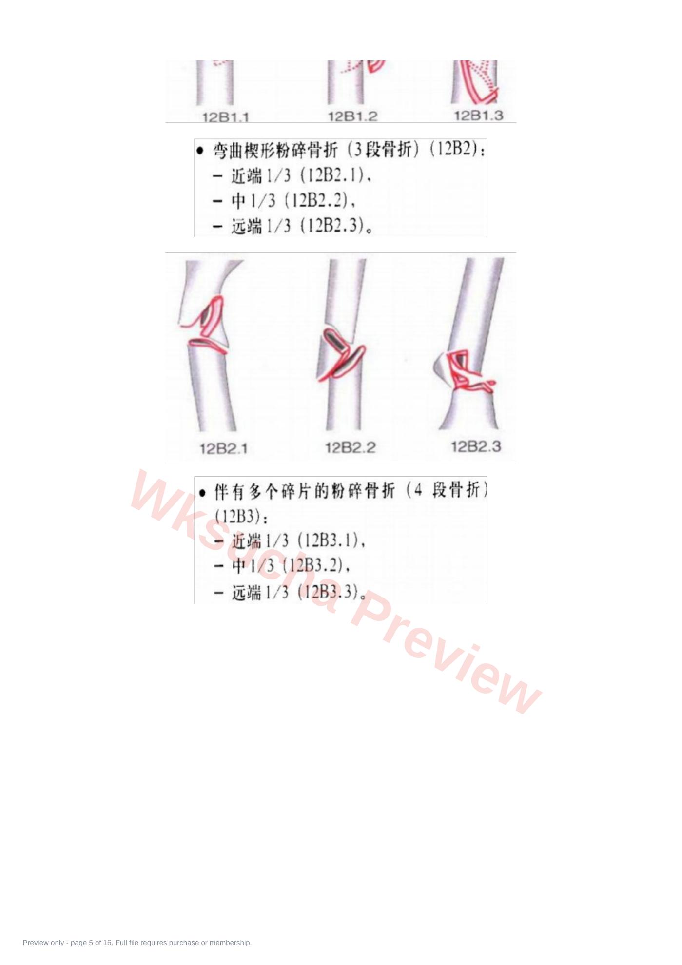 预览第 5 页