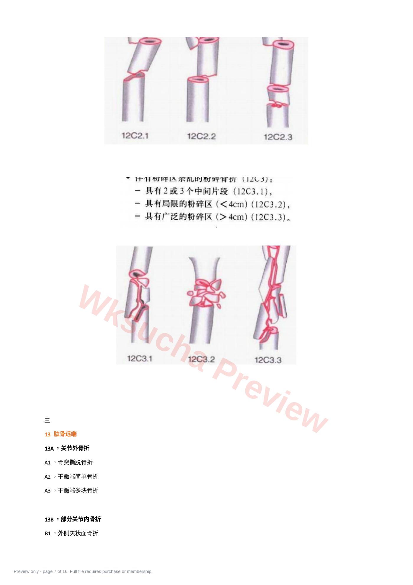 预览第 7 页