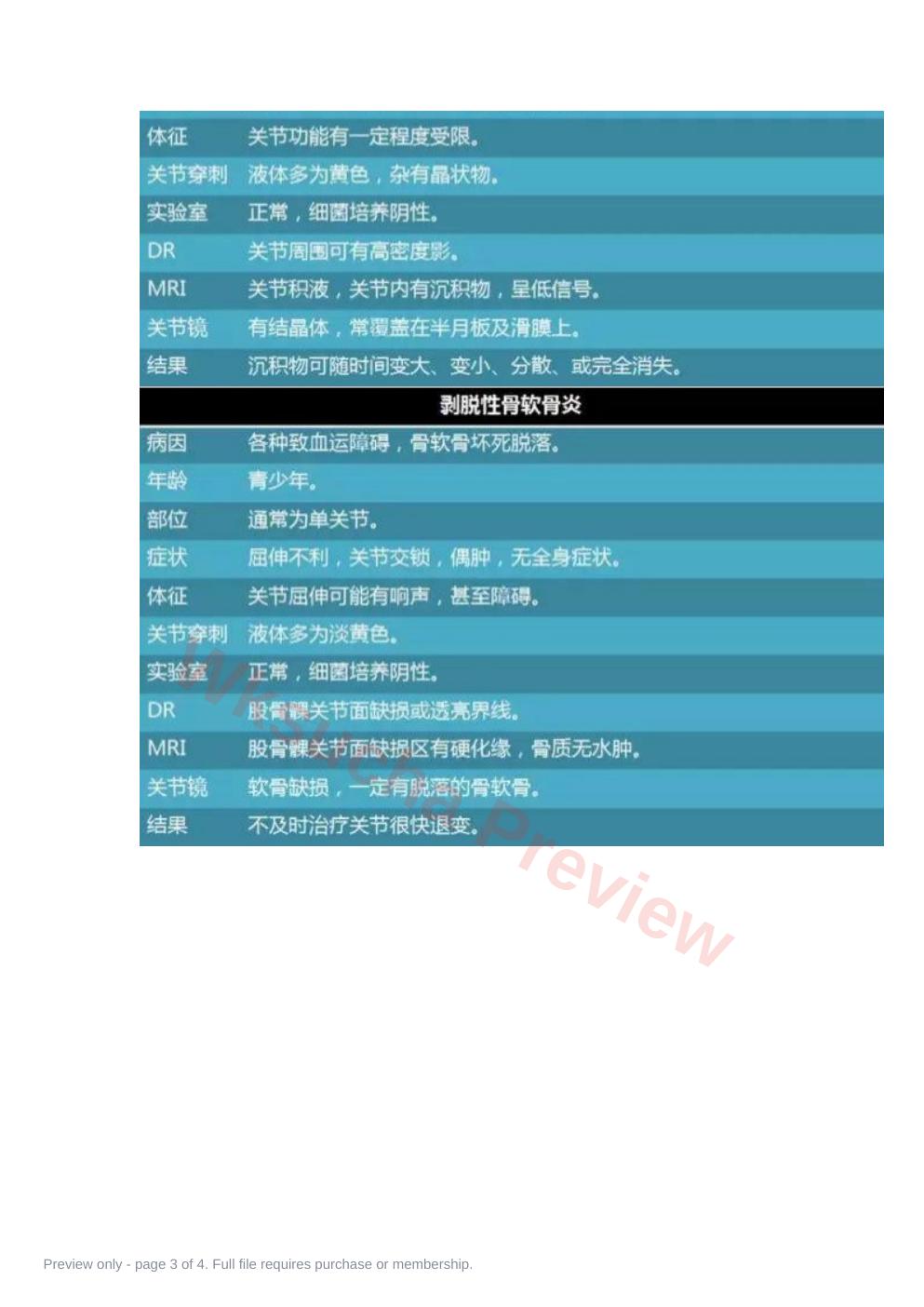预览第 3 页