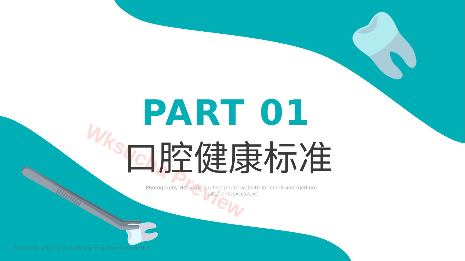 预览第 3 页