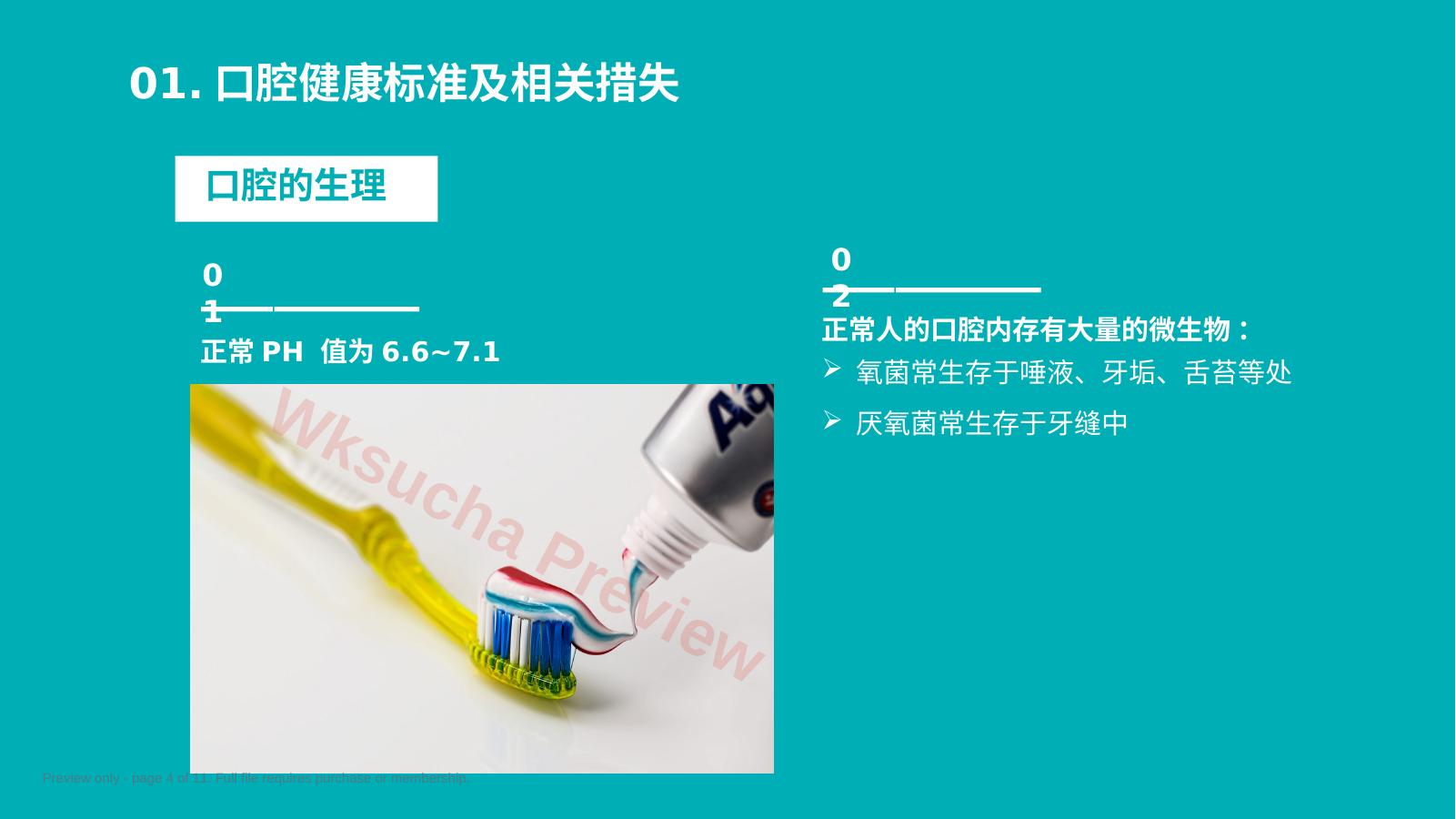 预览第 4 页