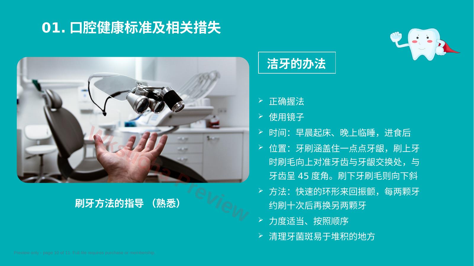 预览第 10 页