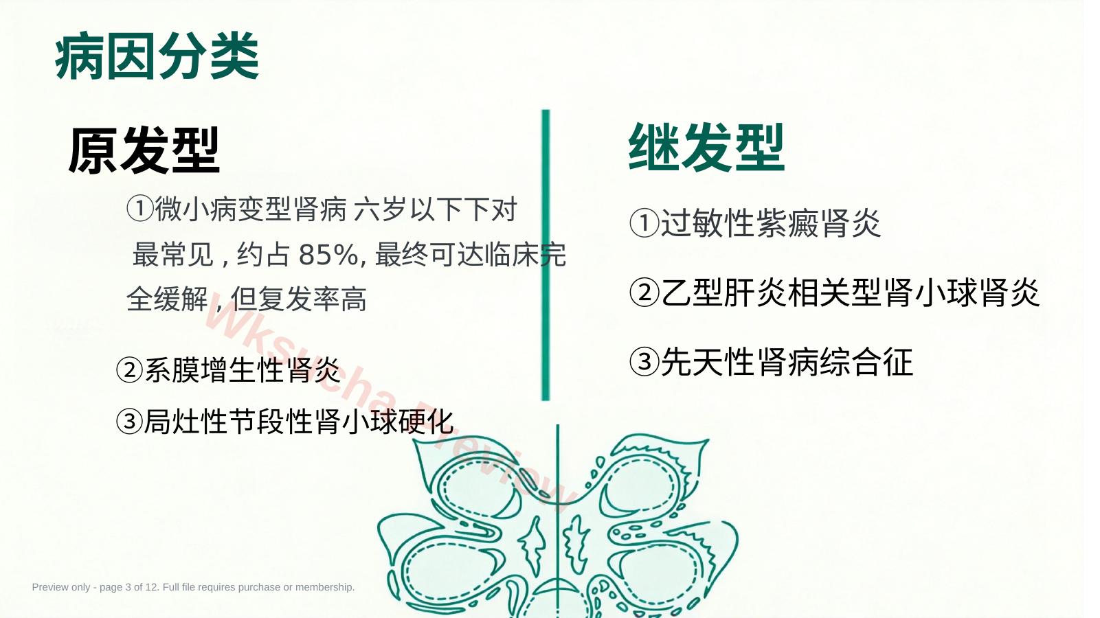预览第 3 页