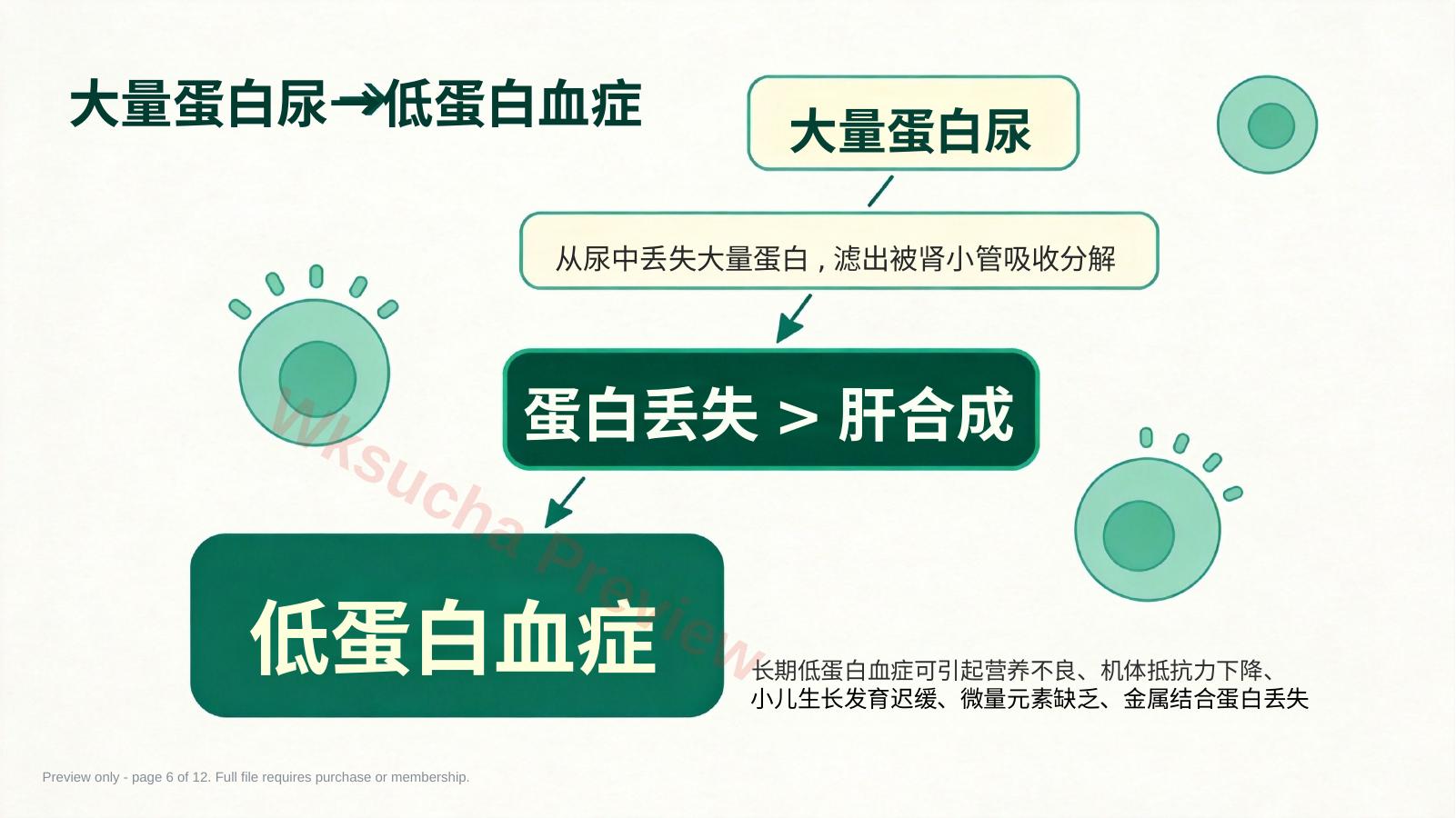 预览第 6 页