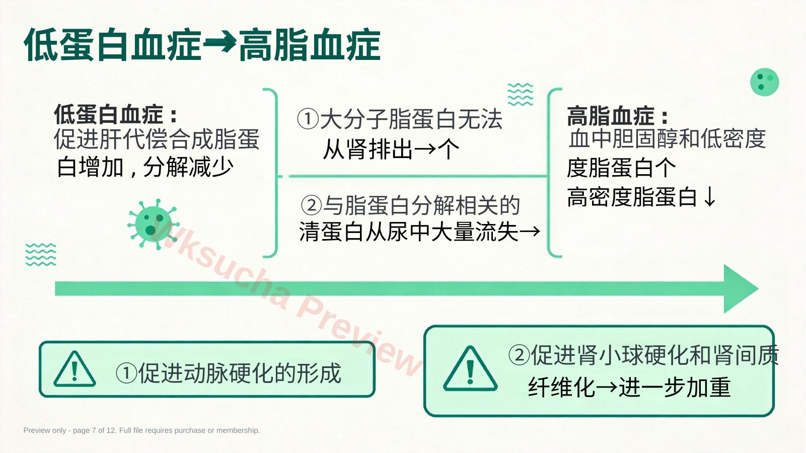 预览第 7 页