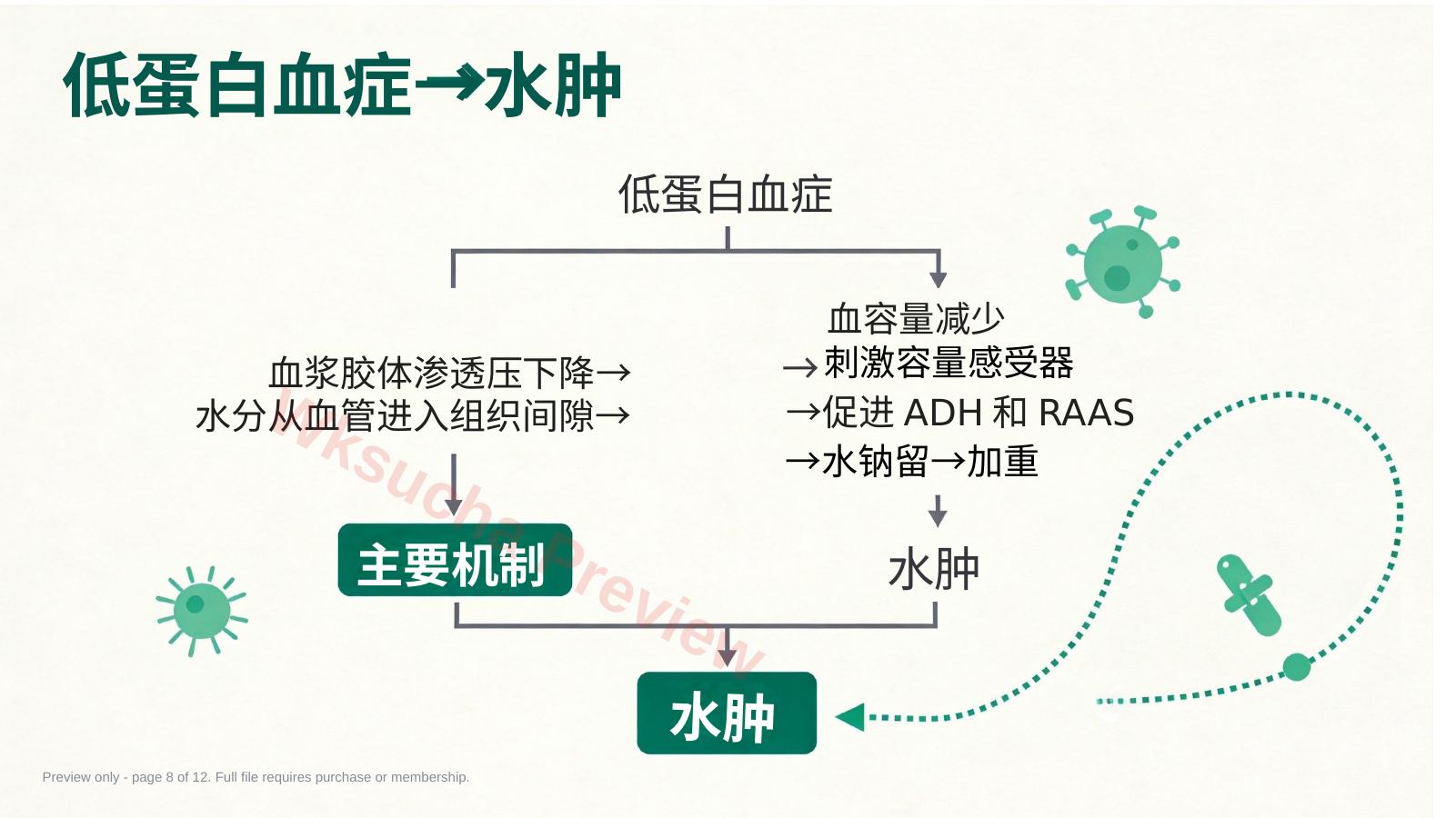 预览第 8 页