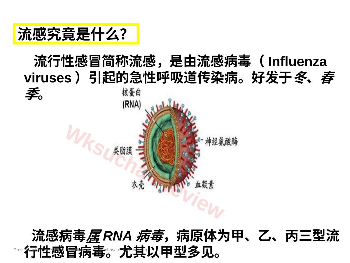 预览第 3 页