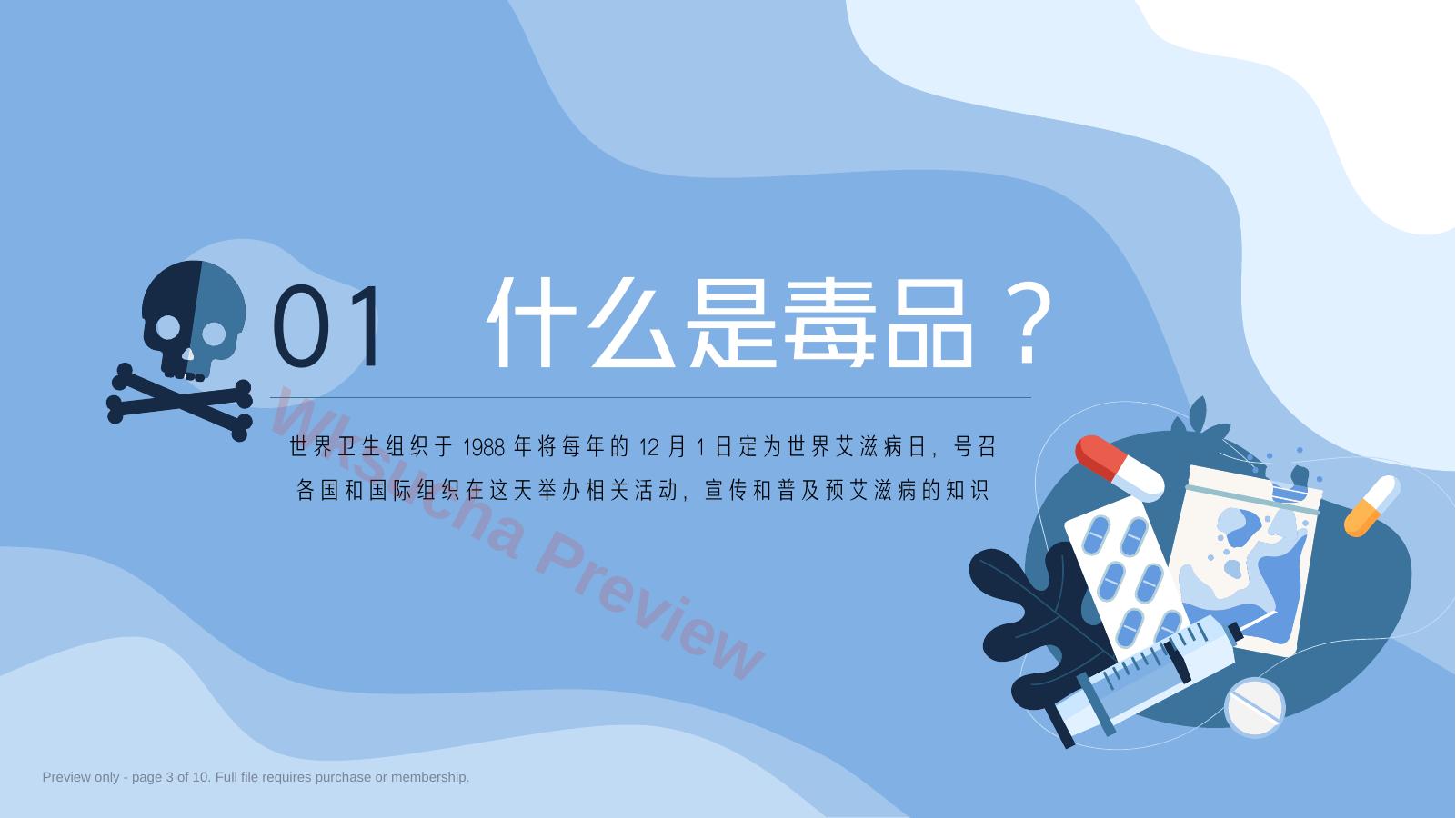 预览第 3 页