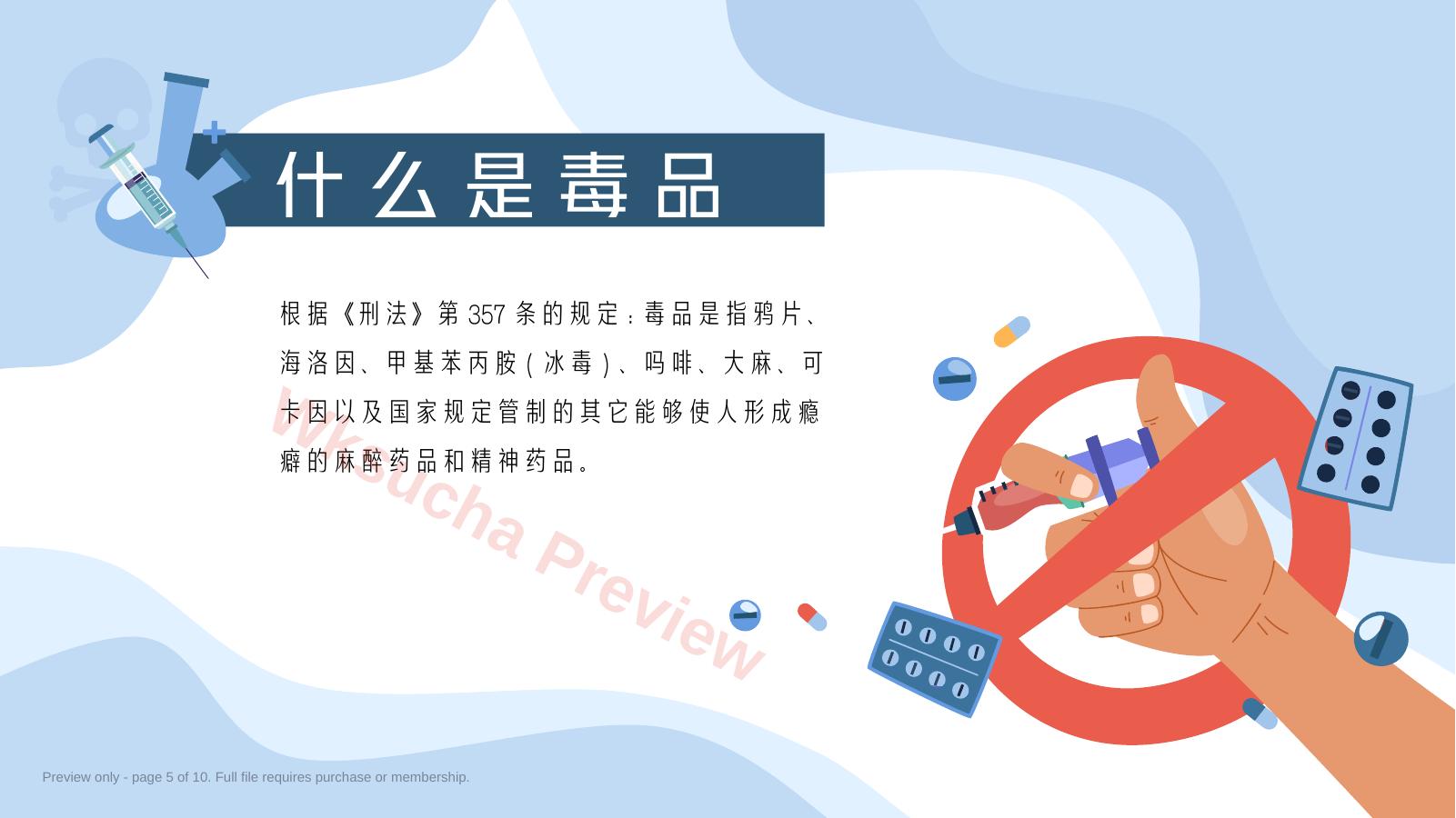 预览第 5 页