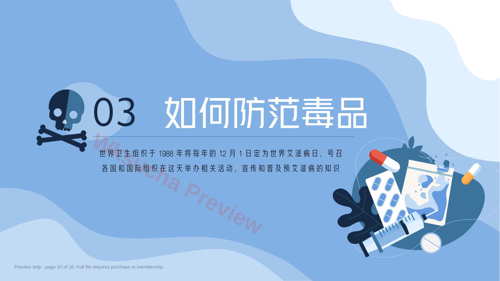 预览第 10 页