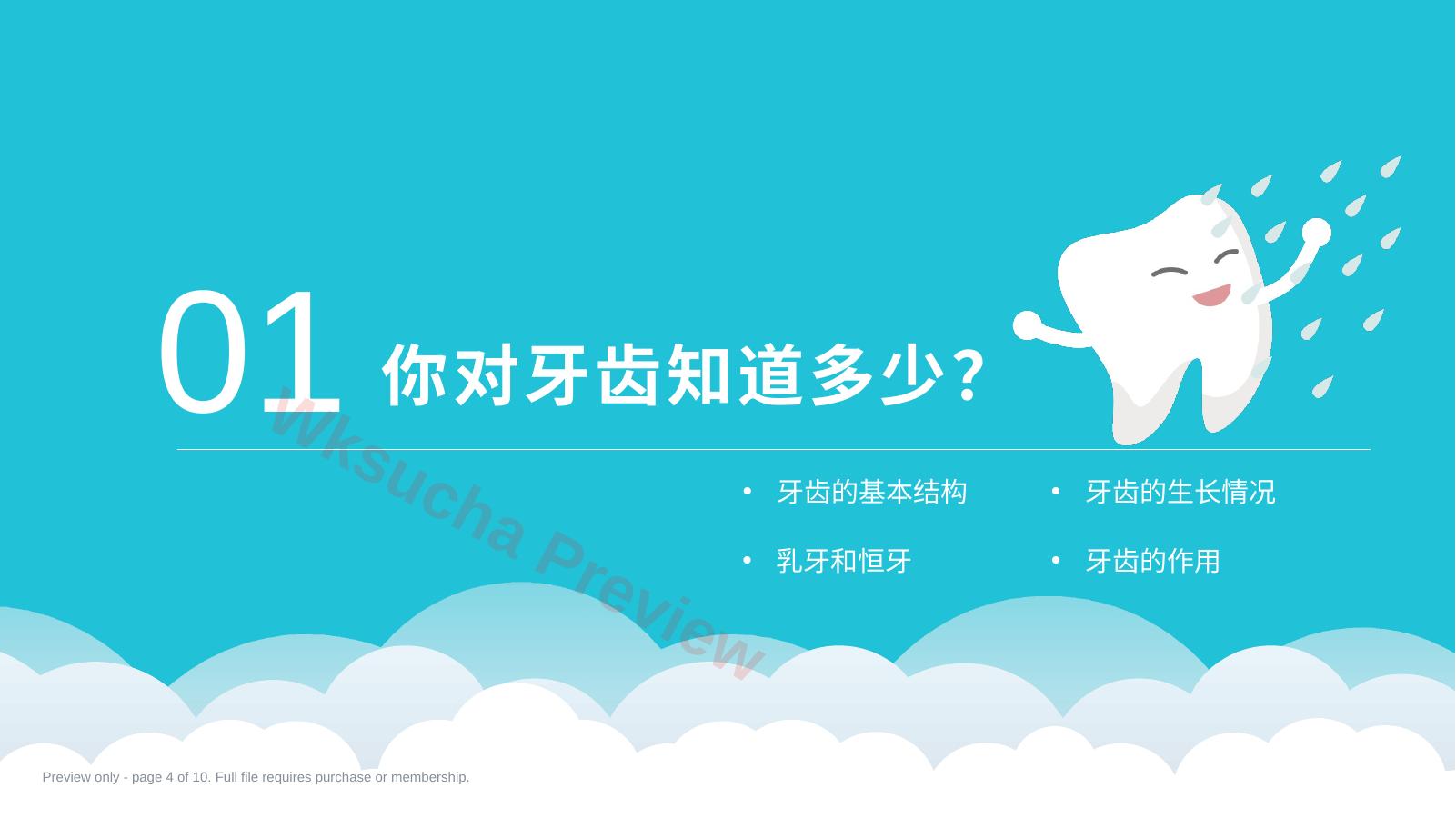 预览第 4 页