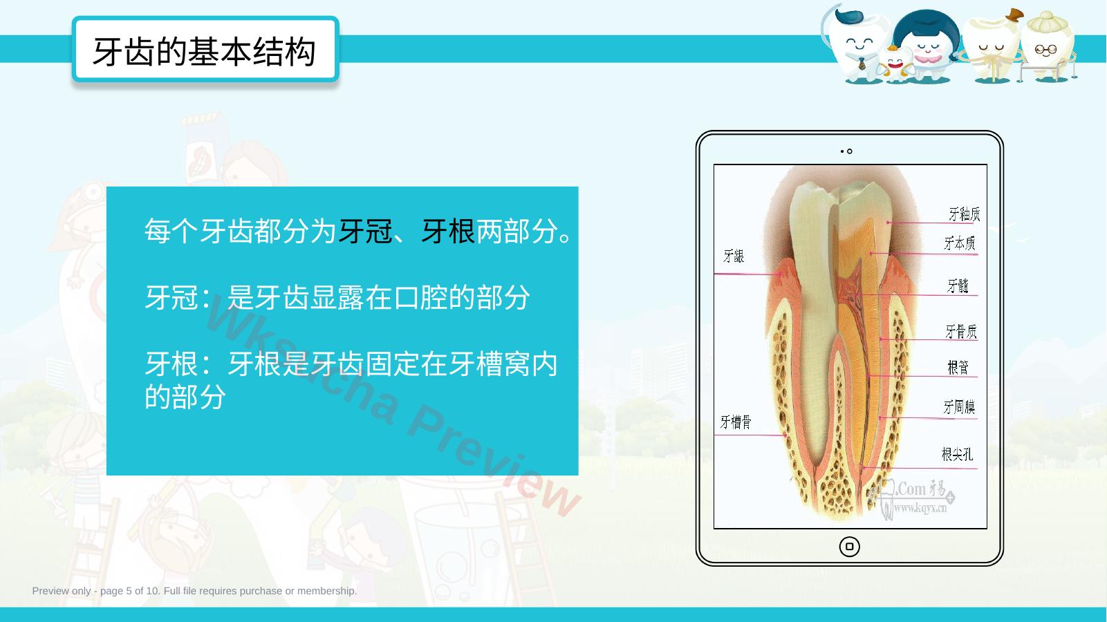 预览第 5 页