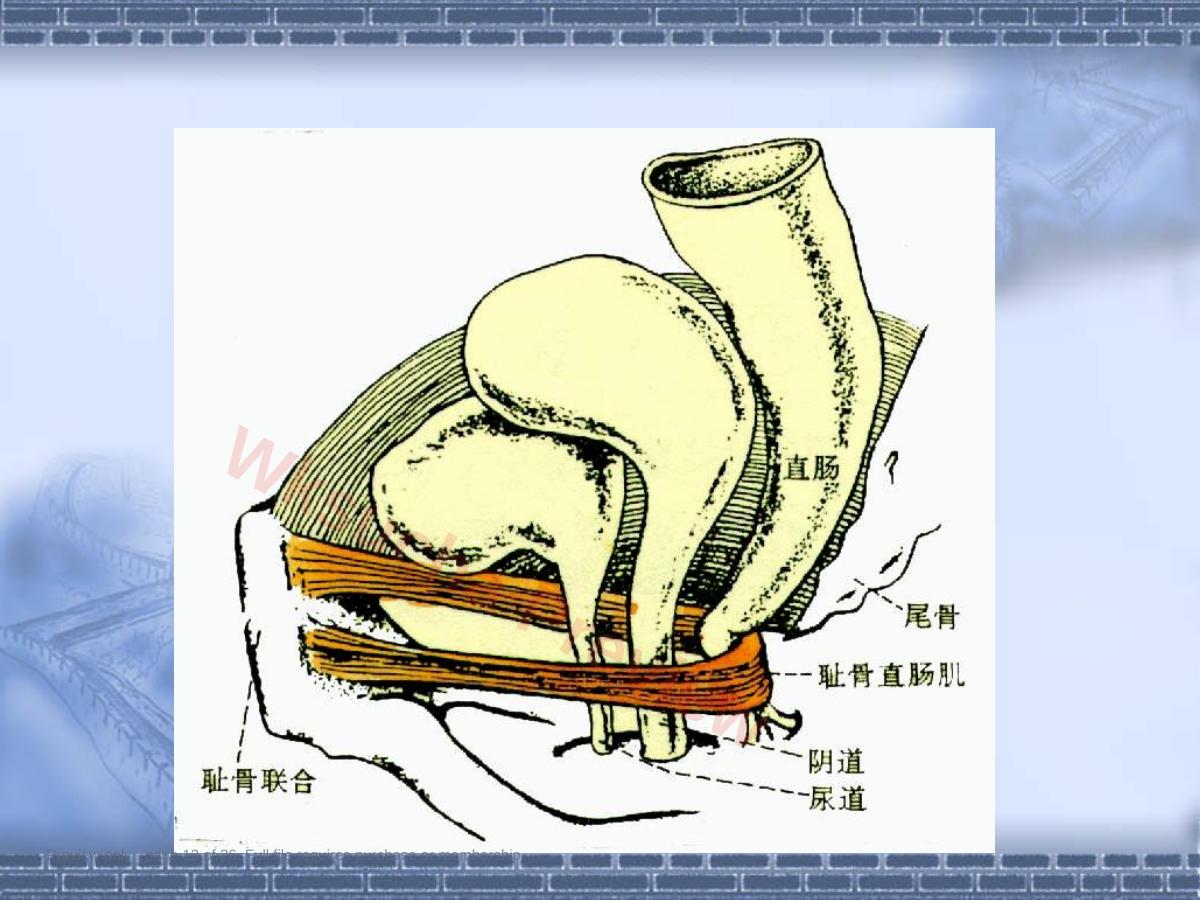 预览第 13 页