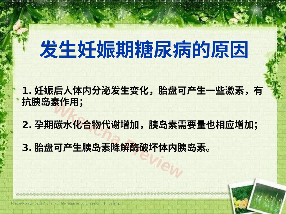 预览第 4 页