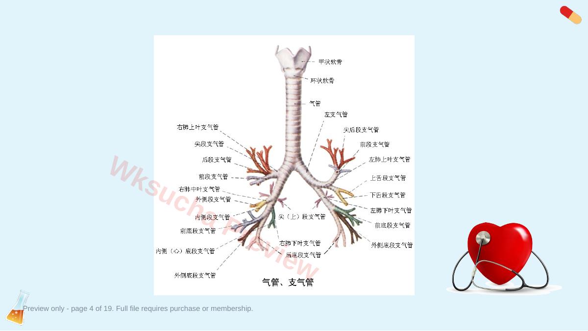 预览第 4 页