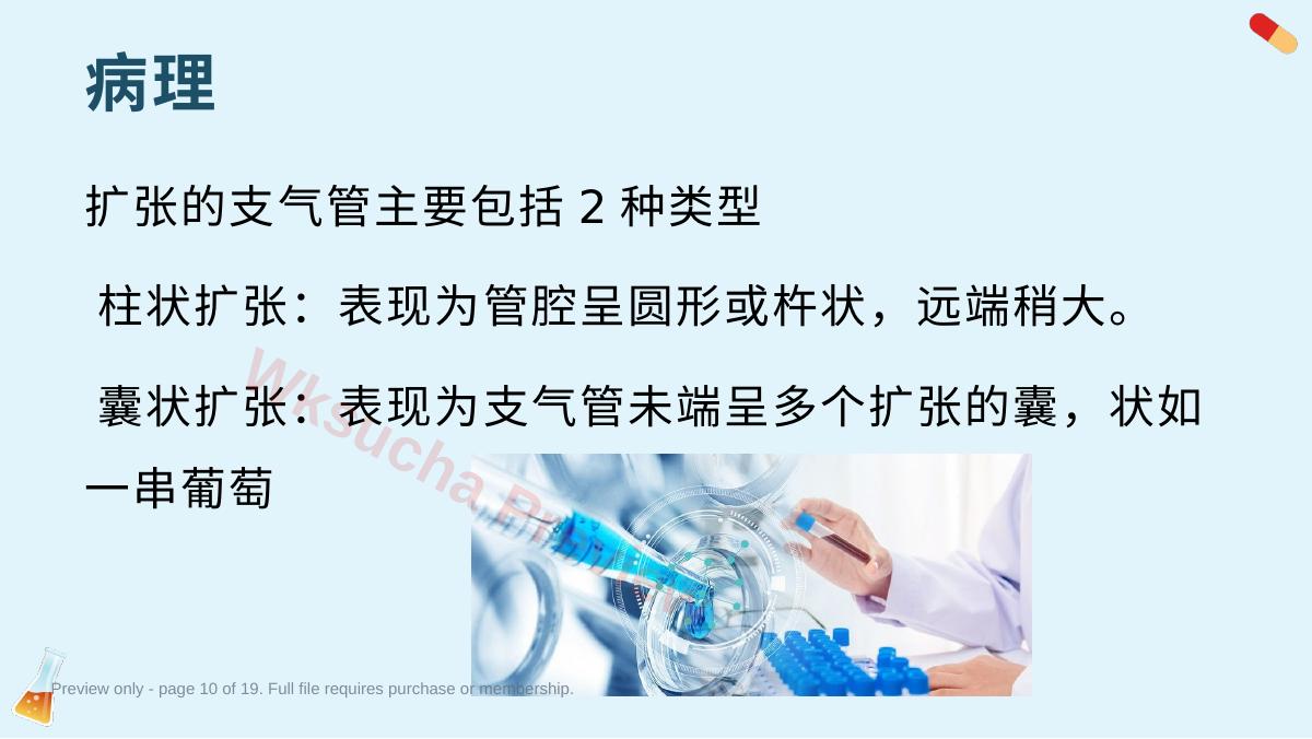 预览第 10 页