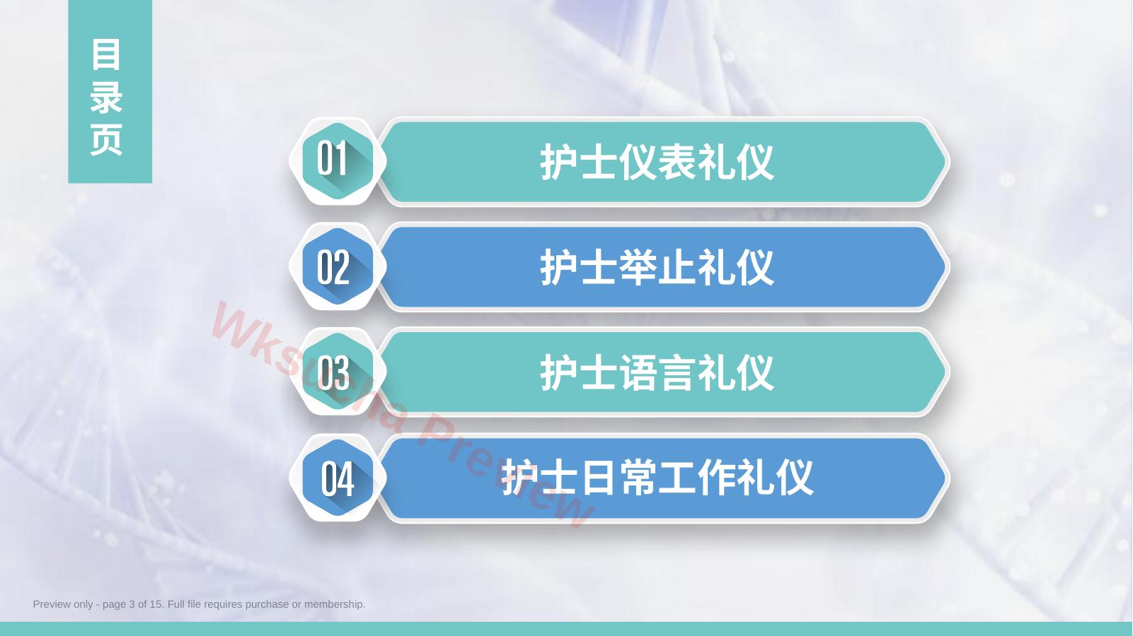 预览第 3 页